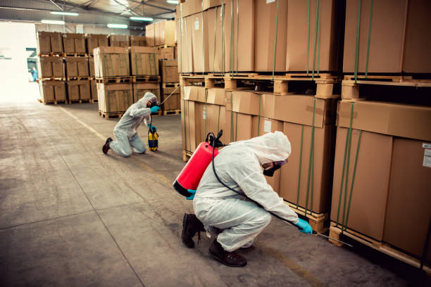 Best Ant Control Services  in Lake Hamilton, AR