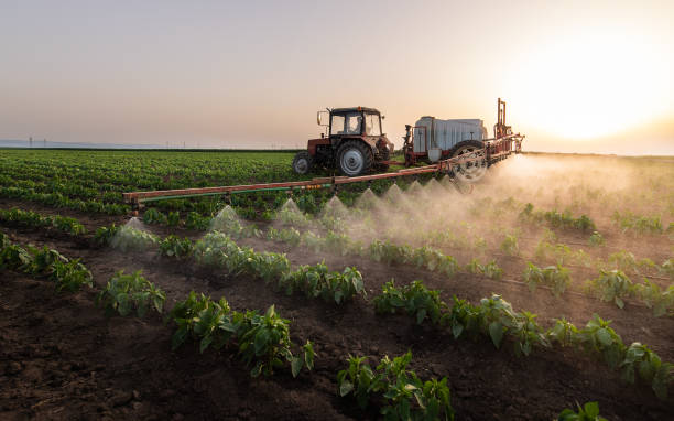 Best Pest Removal Services  in Lake Hamilton, AR