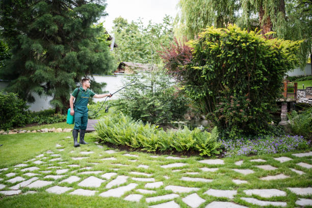 Best Mosquito Control Services  in Lake Hamilton, AR