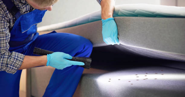 Best Pest Prevention Services  in Lake Hamilton, AR