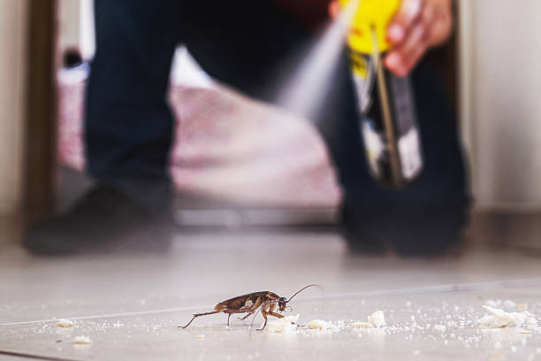 Flea Control Services in Lake Hamilton, AR